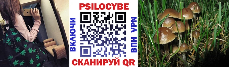 Галлюциногенные грибы Cubensis  Купить  Симферополь 